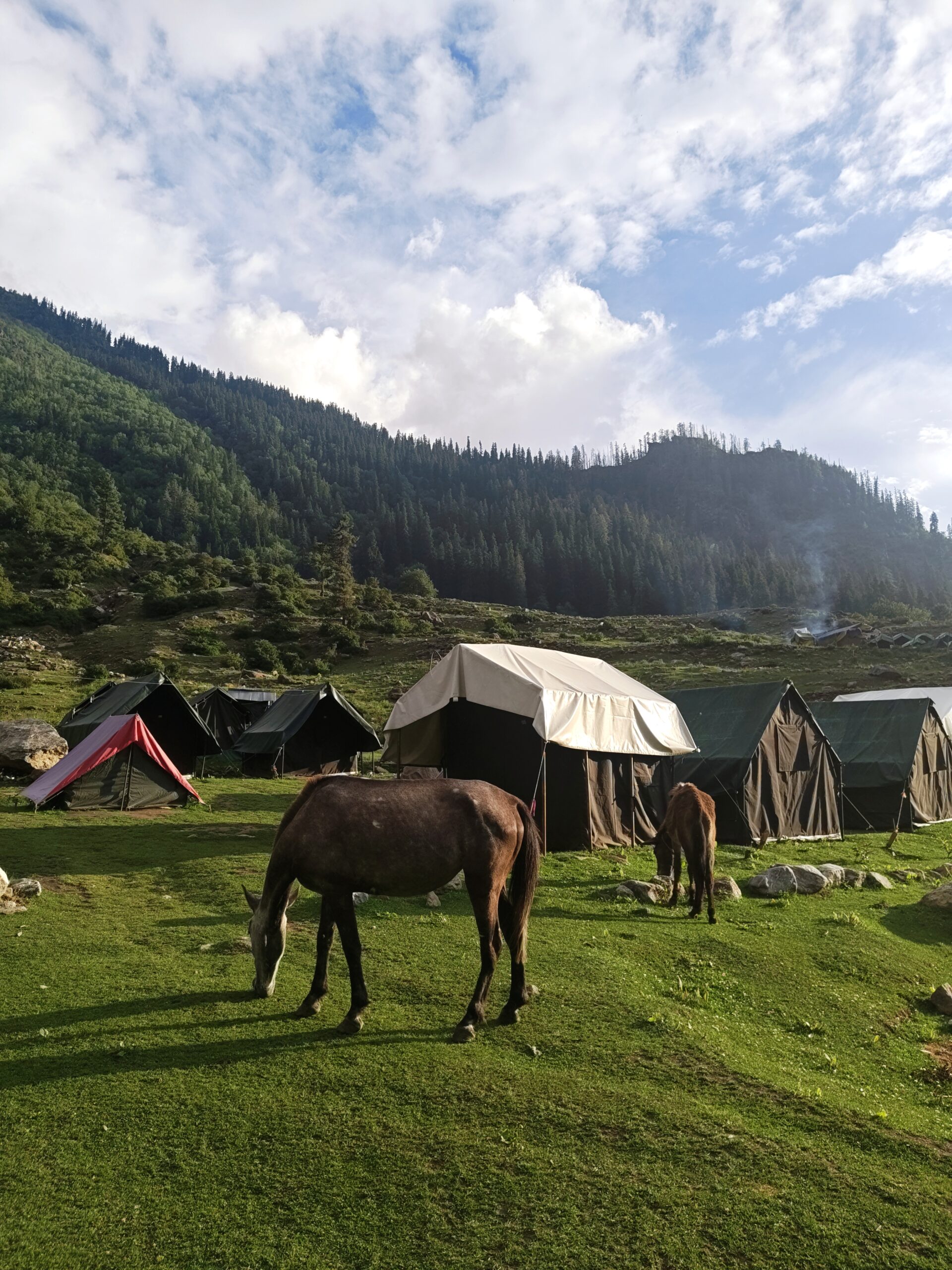 Kheerganga Trek from Kasol