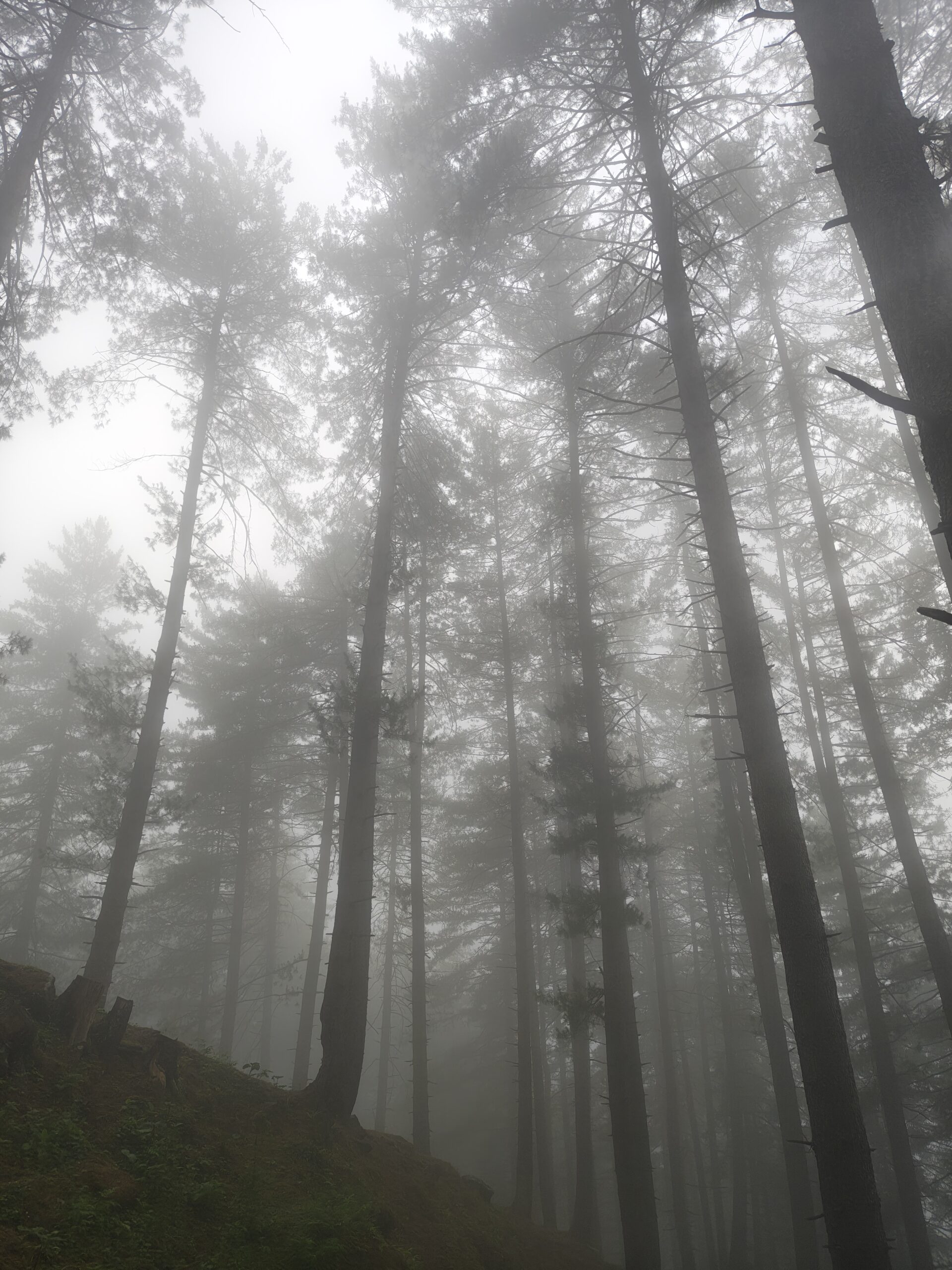 Kheerganga trek