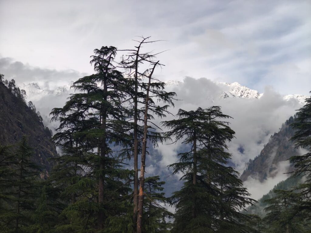 BUN BUNI TREK FROM BARSHAINI